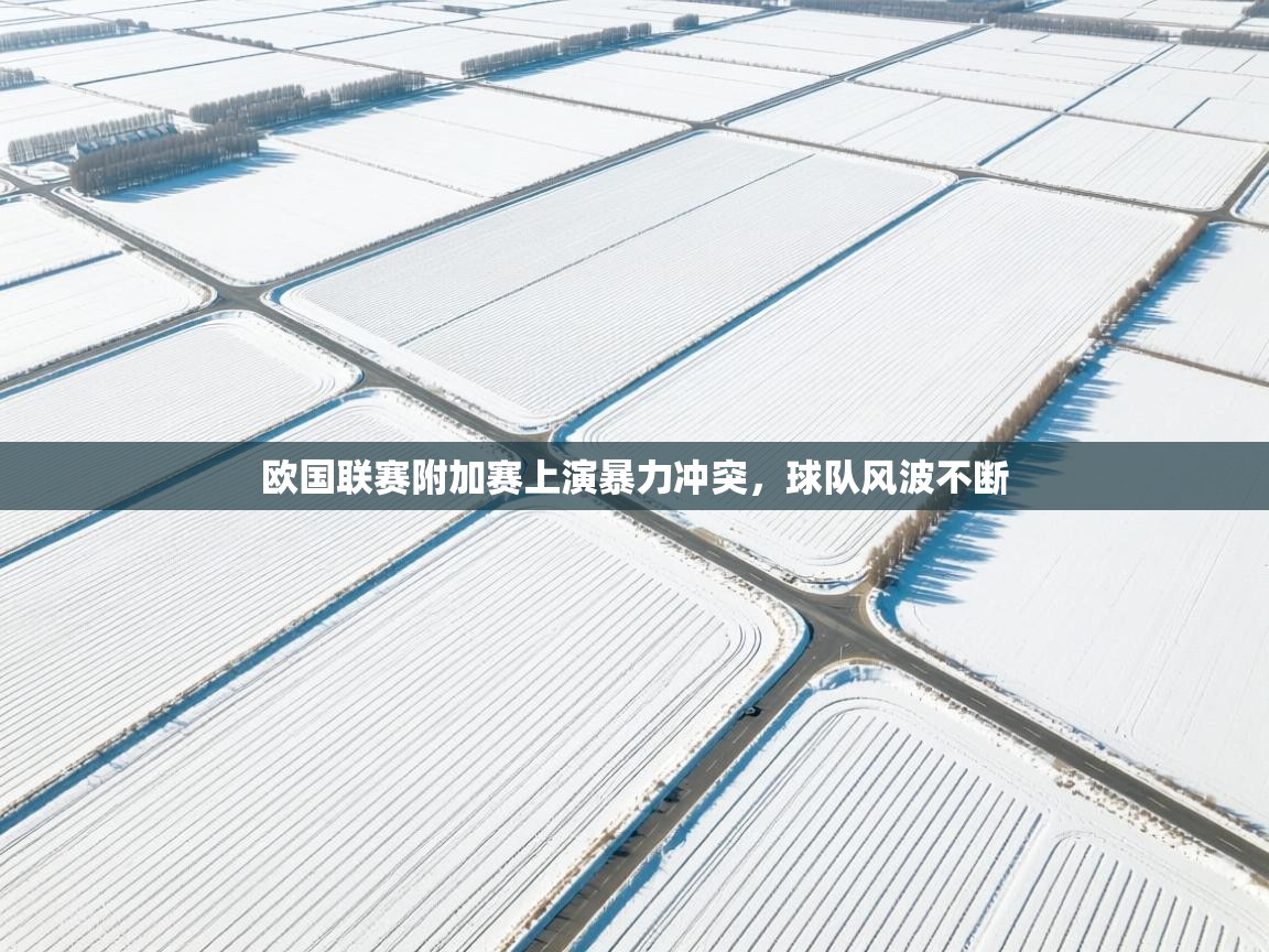 欧国联赛附加赛上演暴力冲突，球队风波不断  第2张