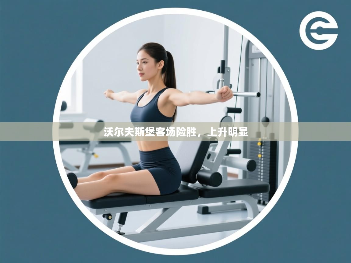 沃尔夫斯堡客场险胜，上升明显  第1张