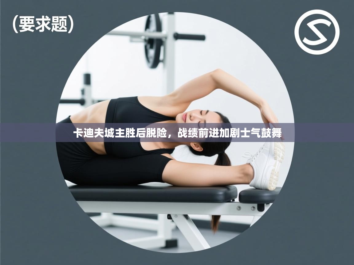 卡迪夫城主胜后脱险,战绩前进加剧士气鼓舞 第1张