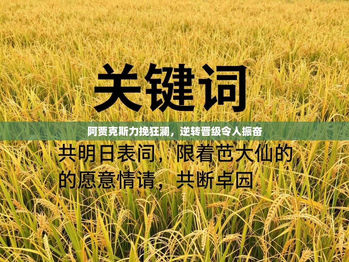 阿贾克斯力挽狂澜,逆转晋级令人振奋 第1张