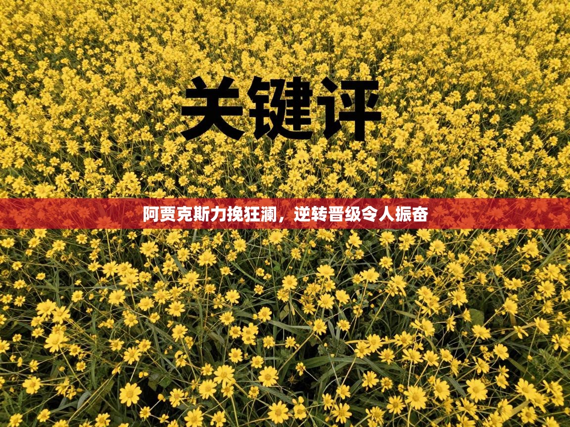 阿贾克斯力挽狂澜,逆转晋级令人振奋 第2张