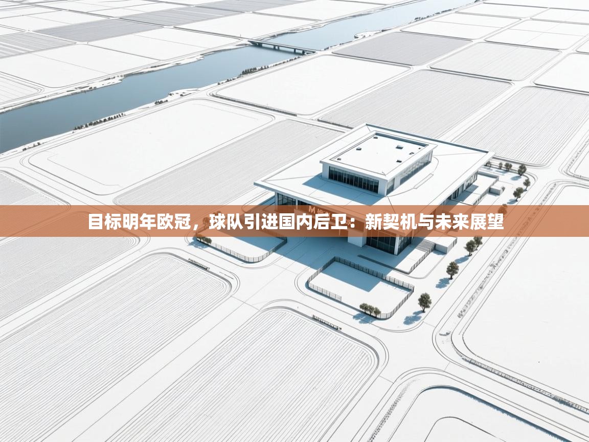目标明年欧冠，球队引进国内后卫：新契机与未来展望