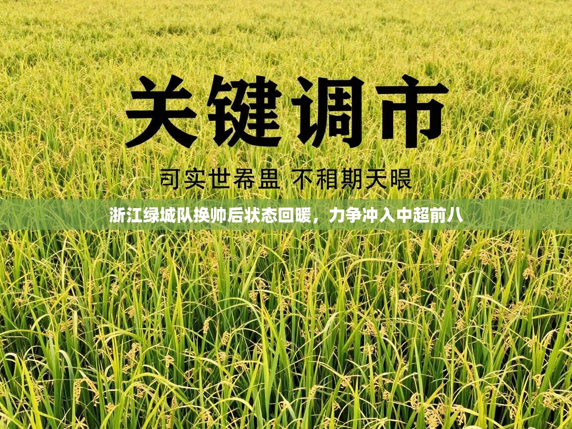 浙江绿城队换帅后状态回暖,力争冲入中超前八 第1张