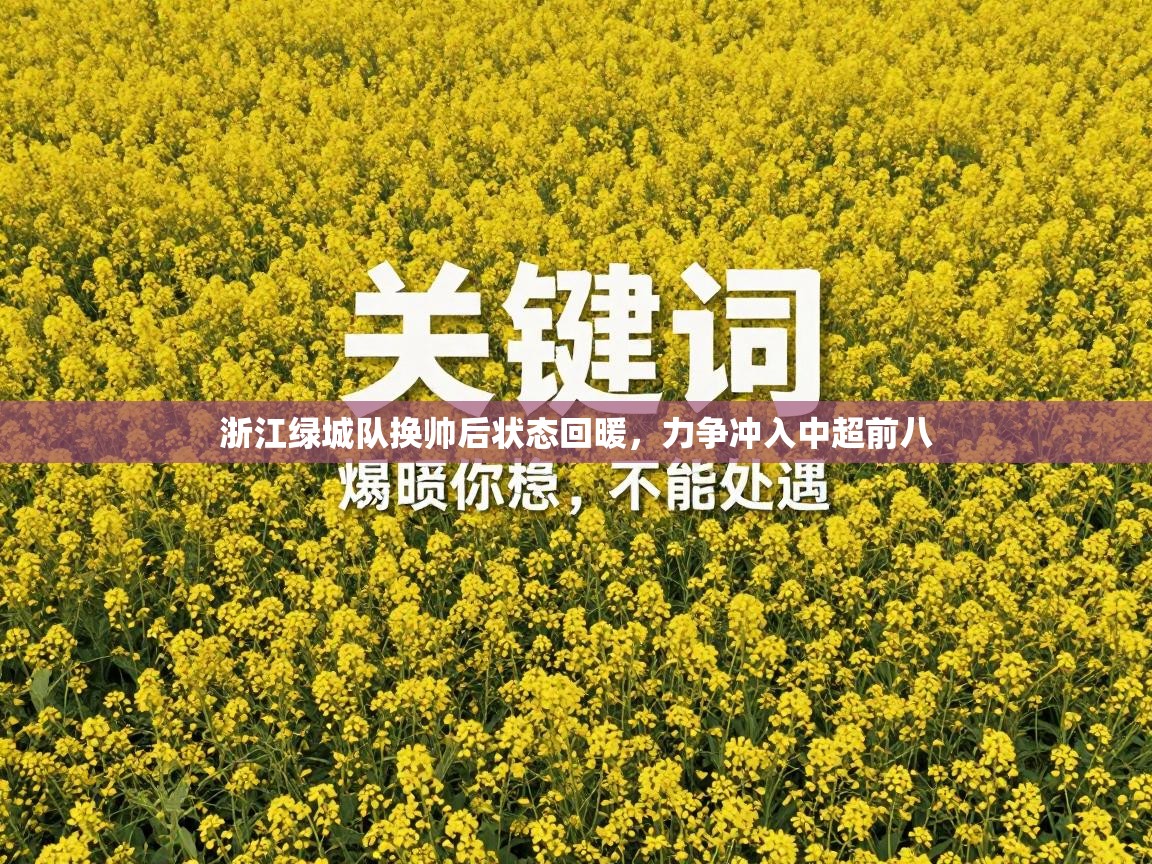 浙江绿城队换帅后状态回暖,力争冲入中超前八 第2张